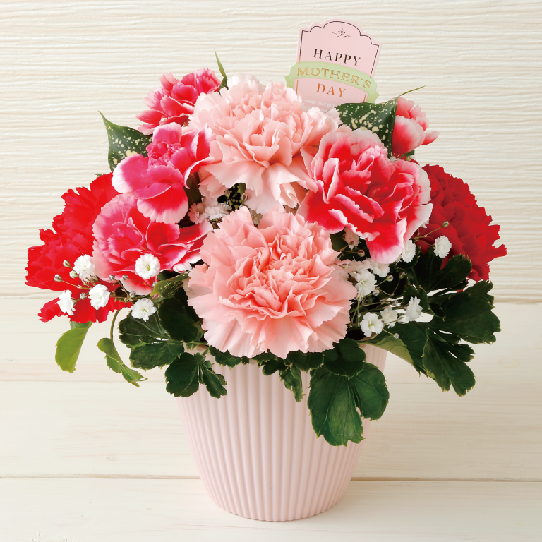 （画像：スイートアレンジメント　イメージ画像）