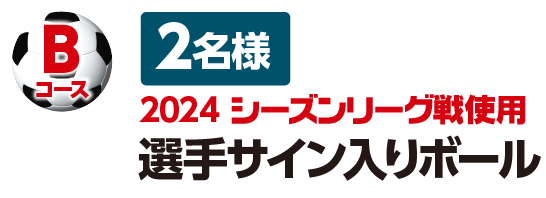 bコース、1名様